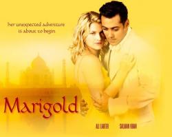 79513_marigold_122_11lo.jpg