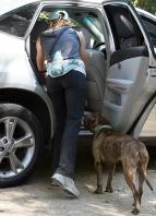 85835_jessica_biel_walking_her_dog_in_hollywood_8_25_08_6116_213807_122_373lo.jpg