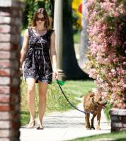 U1Z1QGRS74_19432_Celebutopia-Jessica_Biel_walking_her_dog_in_Beverly_Hills-04_122_393lo.jpg