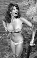 114913578_raquel-welch.jpg