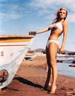 95861116_58410_JC_RaquelWelch_0014_123_153lo.jpg