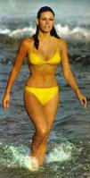 95861133_RaquelWelch31.jpg