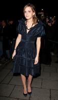 100305231_emmawtribute-dot-com_2009feb06-orangebritishacdawards-a15.jpg