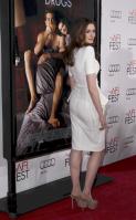 87858_s_ah_love_and_other_drugs_opening_night_gala_afi_fest_20101104_30_122_108lo.jpg