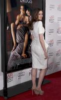 87858_s_ah_love_and_other_drugs_opening_night_gala_afi_fest_20101104_30_122_108lo.jpg