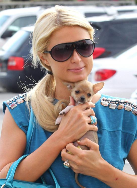 58243__by_William_Paris_Hilton_35_123_44lo.jpg