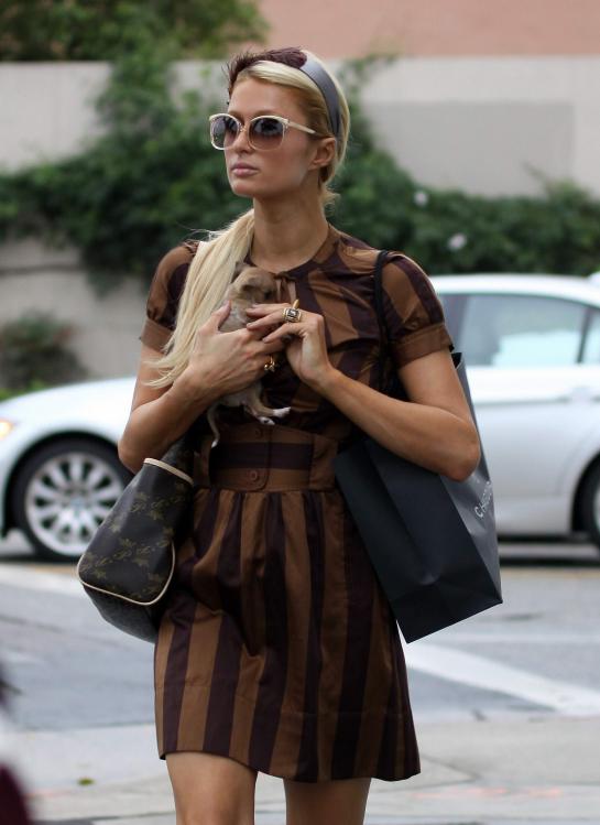 93832_ParisHilton2010_10_19_shoppingwithanewlittledoginBeve0149_122_74lo.jpg