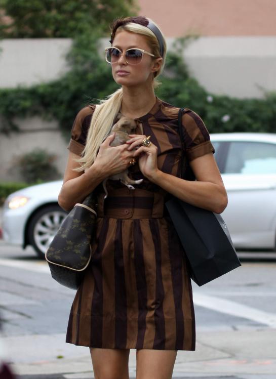 93925_ParisHilton2010_10_19_shoppingwithanewlittledoginBeve0156_122_228lo.jpg