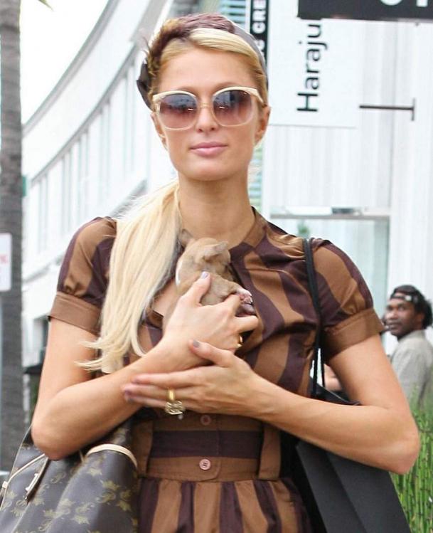 93965_ParisHilton2010_10_19_shoppingwithanewlittledoginBeve0160_122_579lo.jpg