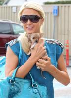 57642__by_William_Paris_Hilton_71_123_634lo.jpg