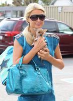 58044__by_William_Paris_Hilton_19_123_444lo.jpg