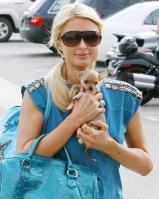 58187__by_William_Paris_Hilton_31_123_103lo.jpg