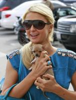 58472__by_William_Paris_Hilton_52_123_373lo.jpg