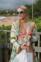 91585_pa_hi_in_bikini_at_the_beach_in_hawaii_23_12_10_1_021_122_64lo.jpg